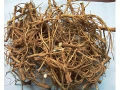 柴胡种植技术|如何提高柴胡的产量|柴胡种植的管理|柴胡病虫害的处理方法|柴胡种植的柴胡种植的采集和加工|柴胡的生活习性